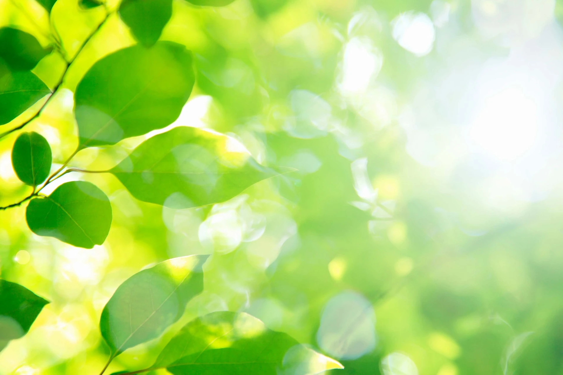夏は髪型で爽やかに　江東区の床屋なら高品質なBARBARRS　CUTCLUB